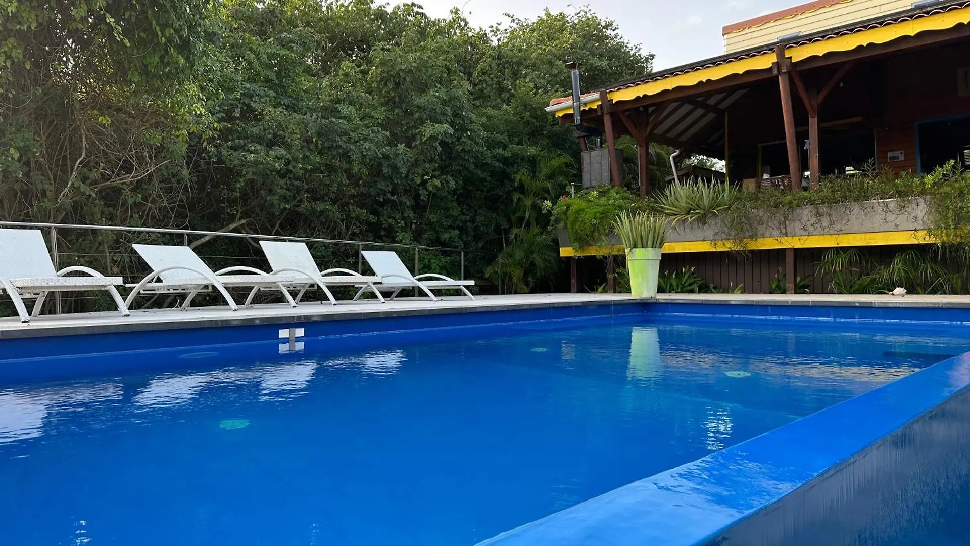 Ketya Villa Des Oiseaux Le Moule